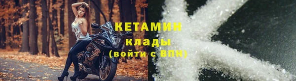 прущие грибы Покров