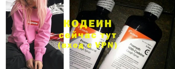 прущие грибы Покров