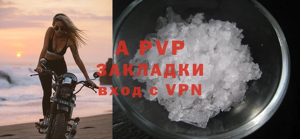 прущие грибы Покров