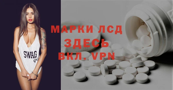 прущие грибы Покров