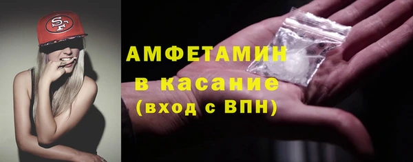 прущие грибы Покров