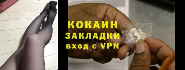 прущие грибы Покров