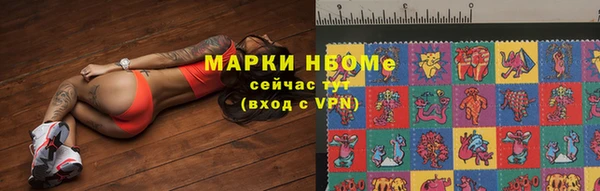 прущие грибы Покров